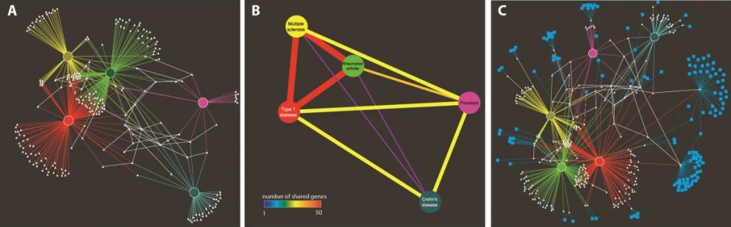 A network of five common autoimmune diseases including rheumatoid arthritis (green), type 1 diabetes (red), multiple sclerosis (yellow), Chrohn's disease (teal), and psoriasis (magenta). A) Disease-gene interaction network for five common autoimmune diseases. Each disease has unique and shared associations. RA, T1D, and MS are closely related. B) A simplified version of the network shown in A, using the "create similarity net" feature of iCTNet. In this representation, diseases are connected by edges of a color proportional to the number of shared genes. C) Same network as in A with drug-target interactions.