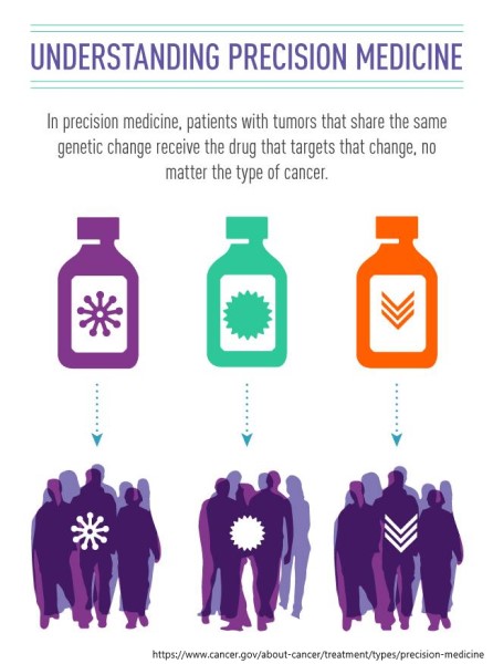 Fig 1. Using the genetic changes in a patient's tumor to determine their treatment is known as precision medicine. Credit: National Cancer Institute